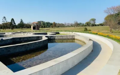 Chandigarh Botanical Garden, Timings, Location, Entry