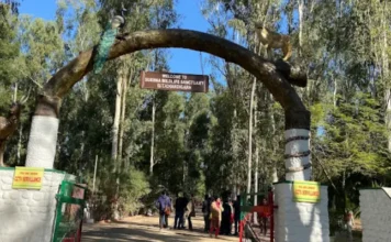 Trekking In Chandigarh