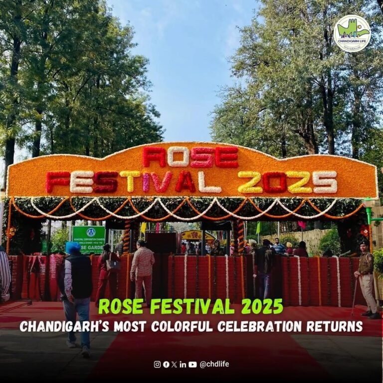 Rose Festival 2025 CHDLIFE