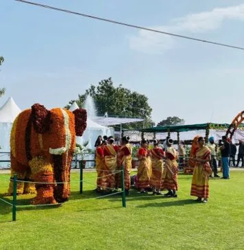 Rose Festival Chandigarh