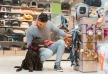 Top 8 Pet Shops in Chandigarh (2025): Grooming, Boarding & Supplies Guide Top 8 Pet Shops in Chandigarh (2025): Grooming, Boarding & Supplies Guide - Lifestyle in Chandigarh