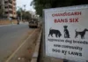 Chandigarh Bans Six Aggressive Dog Breeds Under New Pet and Community Dog By-Laws Chandigarh bans six aggressive dog breeds under new pet and community dog by‑laws