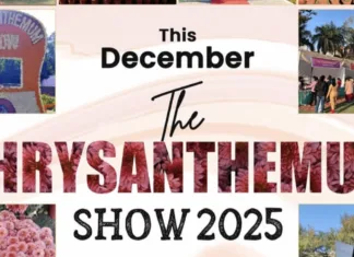 Chrysanthemum Show Chandigarh 19 December at Terraced Garden, Sector 33