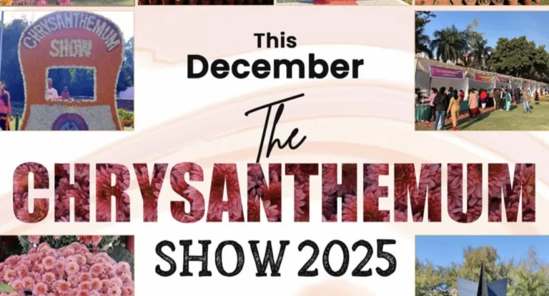 Chrysanthemum Show Chandigarh 19 December at Terraced Garden, Sector 33