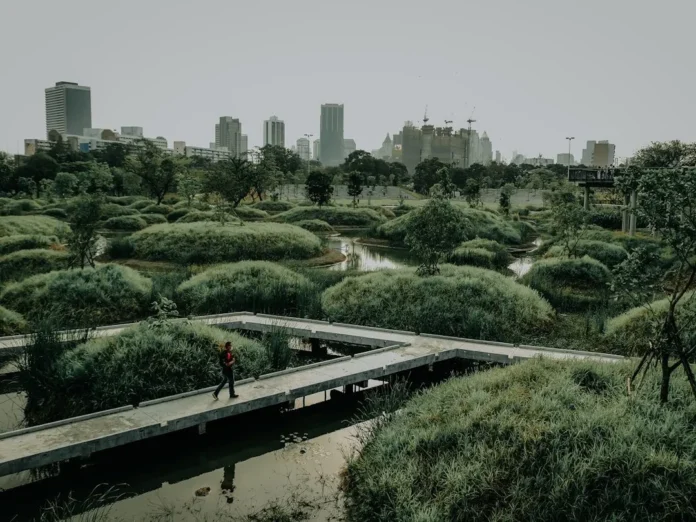 Tree-lined green park pathway representing Chandigarh's parks and green spaces