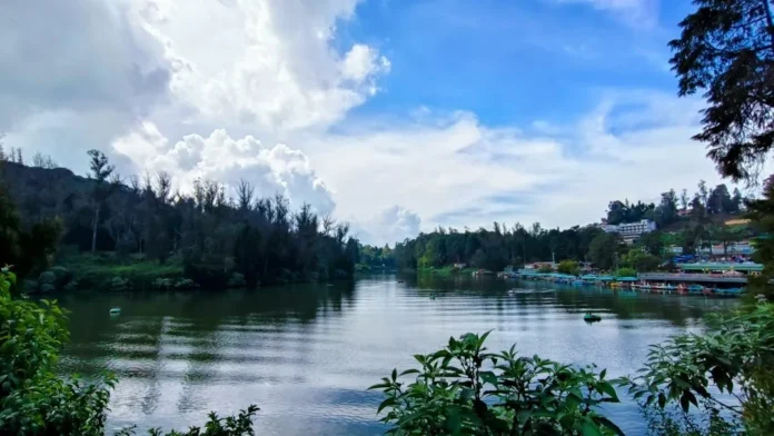 Pine-forested hills and a calm lake, evoking Morni Hills and Tikkar Taal in Haryana