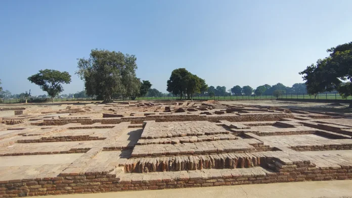 Excavated brick foundations at the Sanghol Buddhist stupa site, with trees and a clear sky behind