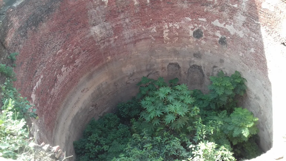 Looking down a deep brick-lined well overgrown with green plants near the Sard Khana at Aam Khas Bagh, Sirhind