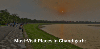 Top Must-Visit Places in Chandigarh: The City Beautiful