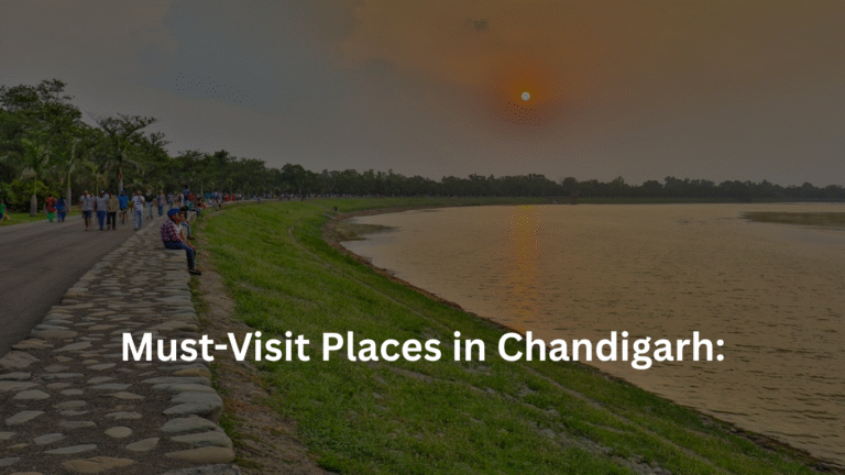 Top Must-Visit Places in Chandigarh: The City Beautiful