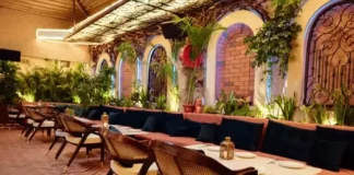 Where to Eat in Sector 17, Chandigarh – Best Restaurants to Try Restaurants in Sector 17 Chandigarh