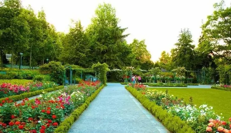 Rose Garden Chandigarh