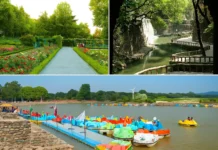 Explore the Charm of Chandigarh: A Perfect Sightseeing Package Explore the Charm of Chandigarh: A Perfect Sightseeing Package - Art & Culture in Chandigarh