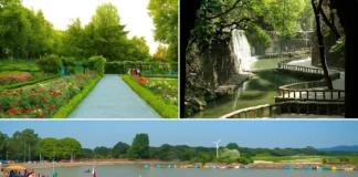 Explore the Charm of Chandigarh: A Perfect Sightseeing Package Things To Do In Chandigarh