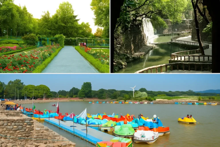 Things To Do In Chandigarh