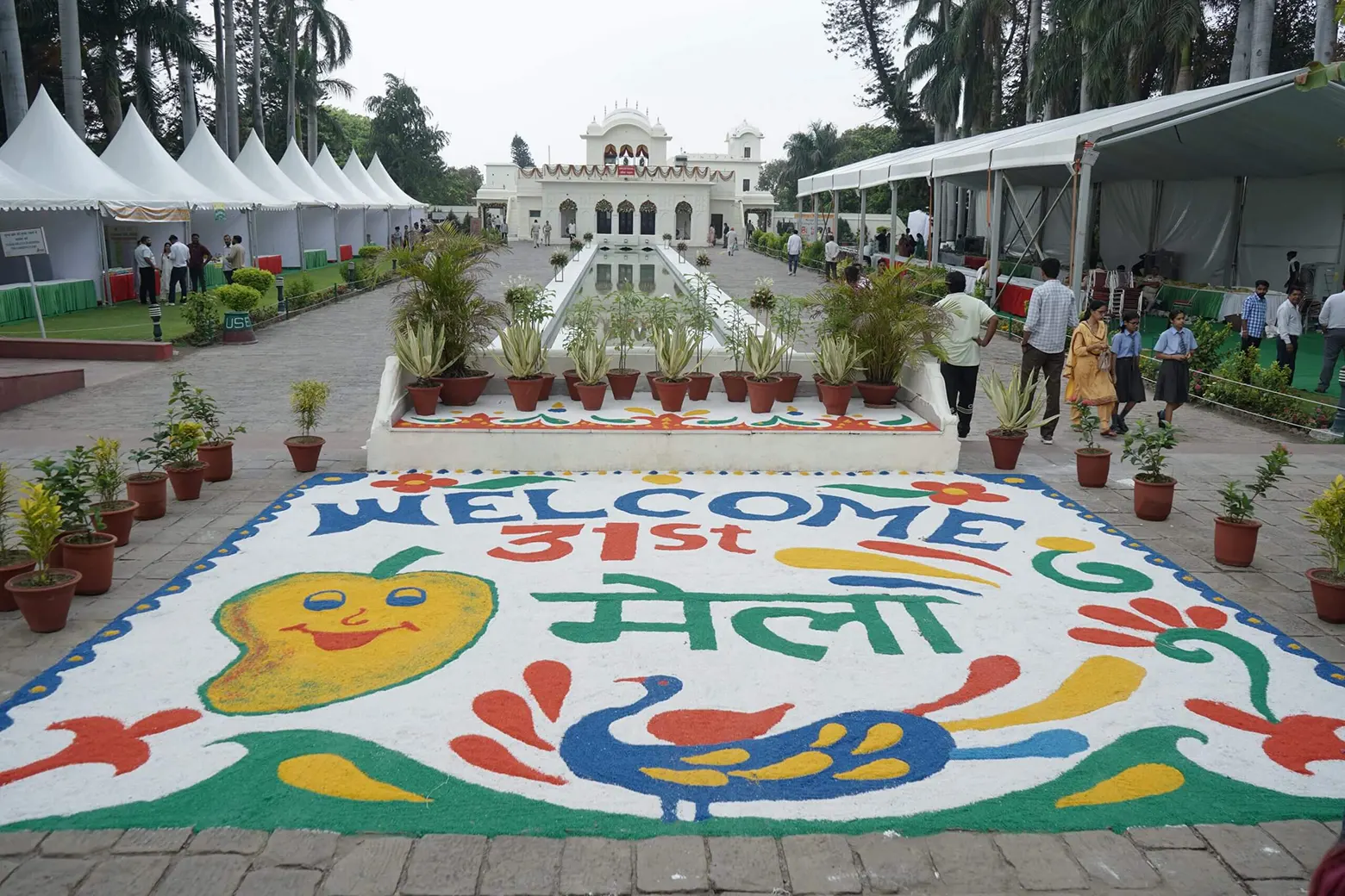 Unmissable Mango Mela 2025 At Pinjore Gardens: Where Mango Magic Comes Alive! 1 Mango Mela 2025 At Pinjore Gardens Event