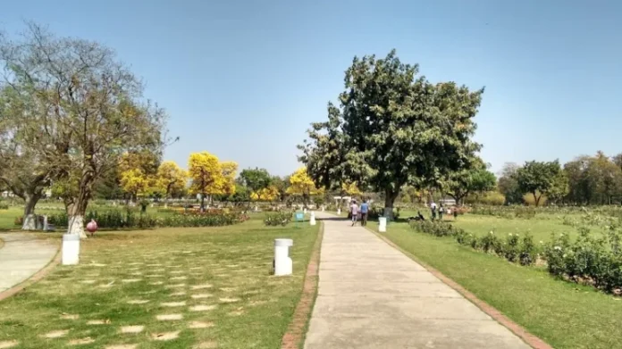 14 City in Chandigarh: Discovering the Diversity and Culture of Each City